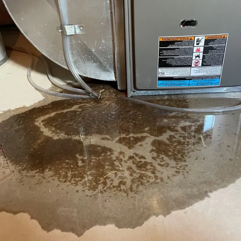 Pipe Burst and Leak Restoration in Marysville, PA
